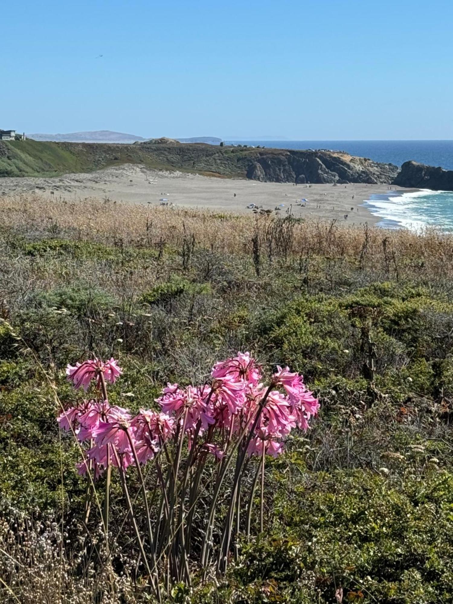 Ocean And Sunset Views - Cliff Side Cottage Bodega Bay Buitenkant foto